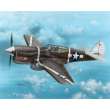 Special Hobby 100-SH72149 - P-40F Warhawk ´Guadalcanal Hawks´ in 1:72