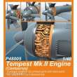 CMK P48005 - 1:48 Tempest Mk.II Engine (Centaurus) for SH and Eduard kits