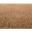 RTS 92521-3 - RTS Grasmatte Kornfeld Sommer