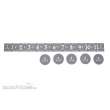 Bandua BA0000257 - Free People Measuring Ruler & Objetives