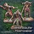 Freebooter Miniatures FMAFAD03 - Ascending Fate: Unitbox An Dan Moonwalker