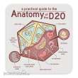 Glassstaff GSST7ANTMYD20 - Anatomy of the D20 Sticker