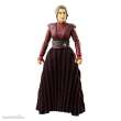 Hasbro HASF7345 - Star Wars: Ahsoka Vintage Collection Actionfigur Morgan Elsbeth 10 cm