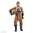 Hasbro HASG0042 - Star Wars Black Series Archive Actionfigur Luke Skywalker 15 cm