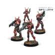 Corvus Belli Infinity INF280576 - Mobile Brigada