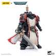 Joy Toy JT6502 - Warhammer 40k Actionfigur 1/18 Black Templars Primaris Sword Brethren Eberwulf 12 cm