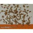 Model Scene L4-105 - Universal - Extra Farben, Herbst