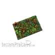 Micro Art Studio MSB02170 - Jungle Bases 50x75mm (1)