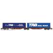 REE Modeles NW-206 - Sggmrss 90 wagon TOUAX + 2 Swap bodies “TAB - de CO2 + TAB RAILROAD” – Era V-VI