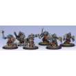 Hordes PIP71013 - Trollblood Kriel Warrior Unit Box