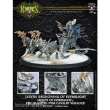 Hordes PIP73070 - Legion Epic Warlock Lylyth, Reckoning of  Everblight Box