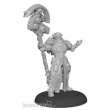 Privateer Press PIP83002 - Paladin Weaver - Warcaster Iron Star Alliance Solo (metal)