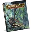 Paizo Publishing PZO1129PE - Advanced Class Guide -- Pocket Edition