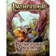 Paizo Publishing PZO9435 - Pathfinder Society Primer