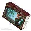 Ulisses Spiele! US25640 - DSA5 - Spielkartenbundle - Aventurische Magie 2