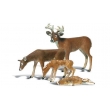 Woodland Scenics WA2543 - G Buck And Family