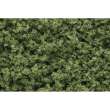 Woodland Scenics WFC1635 - Light Green Underbrush