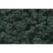 Woodland Scenics WFC1647 - Dark Green Bushes