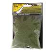 Woodland Scenics WFS626 - 12mm Static Grass Medium Green