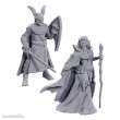 Wizkids WIZ90734 - D&D Nolzur´s Marvelous Miniatures Miniaturen unbemalt 2er-Pack 50th Anniversary Elves