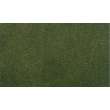 Woodland Scenics WRG5123 - 50x100 Forest Grass RG Roll