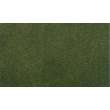 Woodland Scenics WRG5133 - 33 X 50 Forest Grass RG Roll