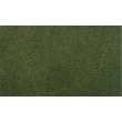 Woodland Scenics WRG5173 - 25 X 33 Forest Grass RG Roll